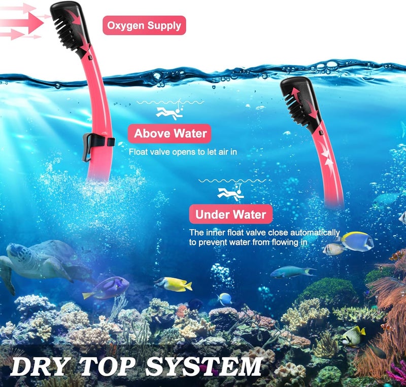ACQCES Snorkeling Gear for Adults, Dry Top Snorkel Mask Set 2 Pack Scuba Diving Mask Snorkel Gear Anti Fog Snorkeling Packages Tempered Glass Panoramic View Nose Cover - Image 3